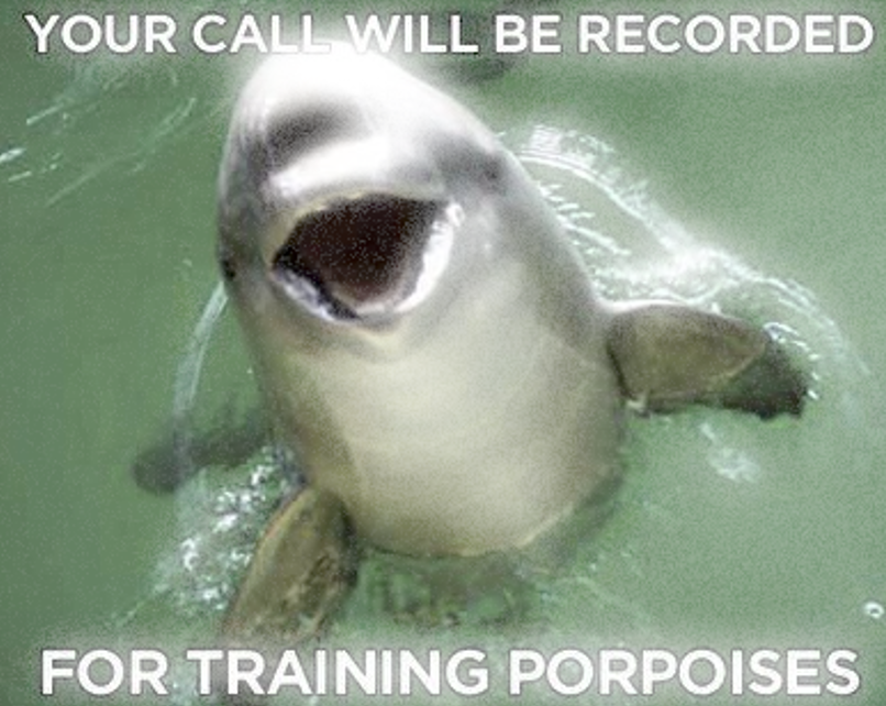 Recorded for Training Purposes