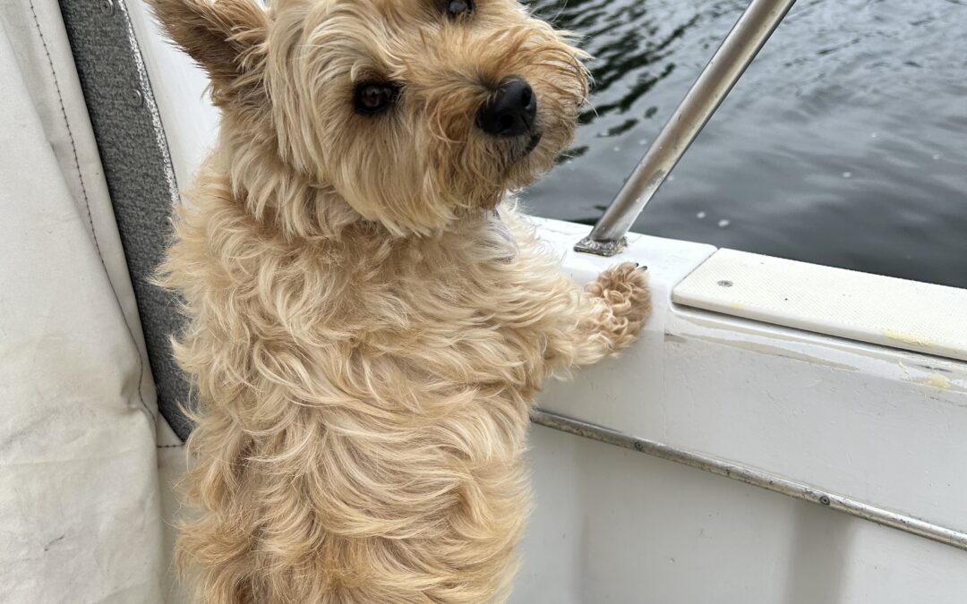 Tripping Down the Erie Canal, Part 2, The Launch