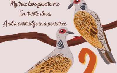 On the Second Day of Christmas