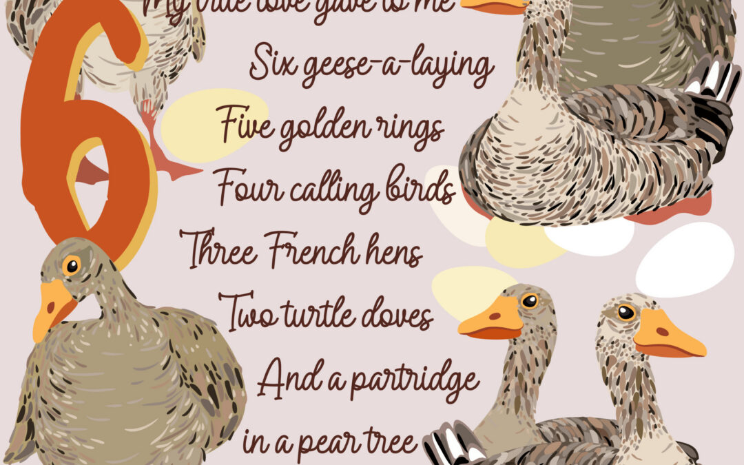 The Sixth Day of Christmas, Six Geese a-laying