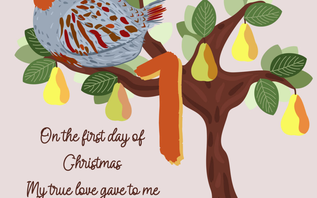 On the First Day of Christmas