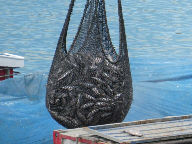 It’s a Montana Thing