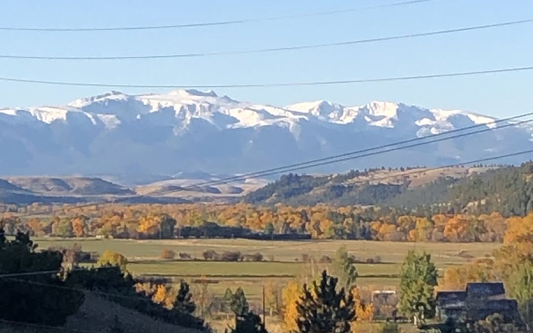 We’re Home! The Good, The Bad, and the Ugly.